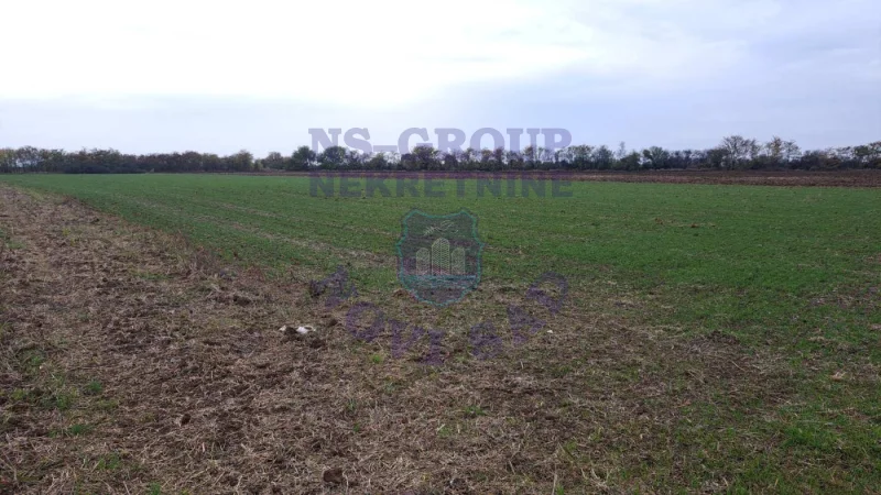 Plac na prodaju Rumenka 11232m2, 580936
