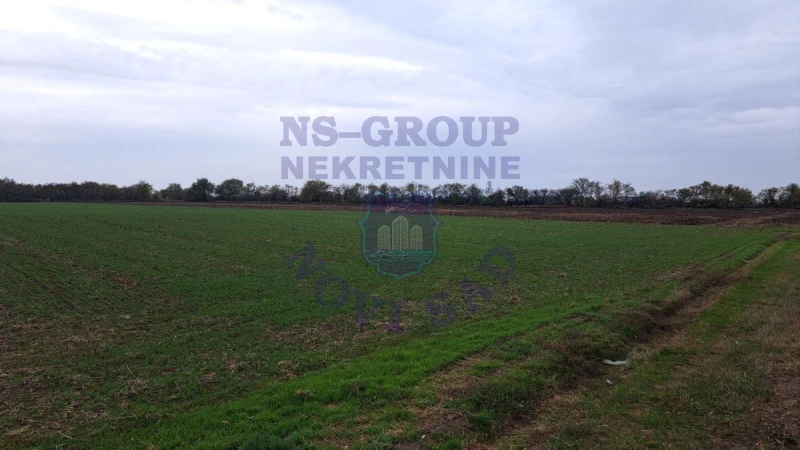 Plac na prodaju Rumenka 11232m2, 580936